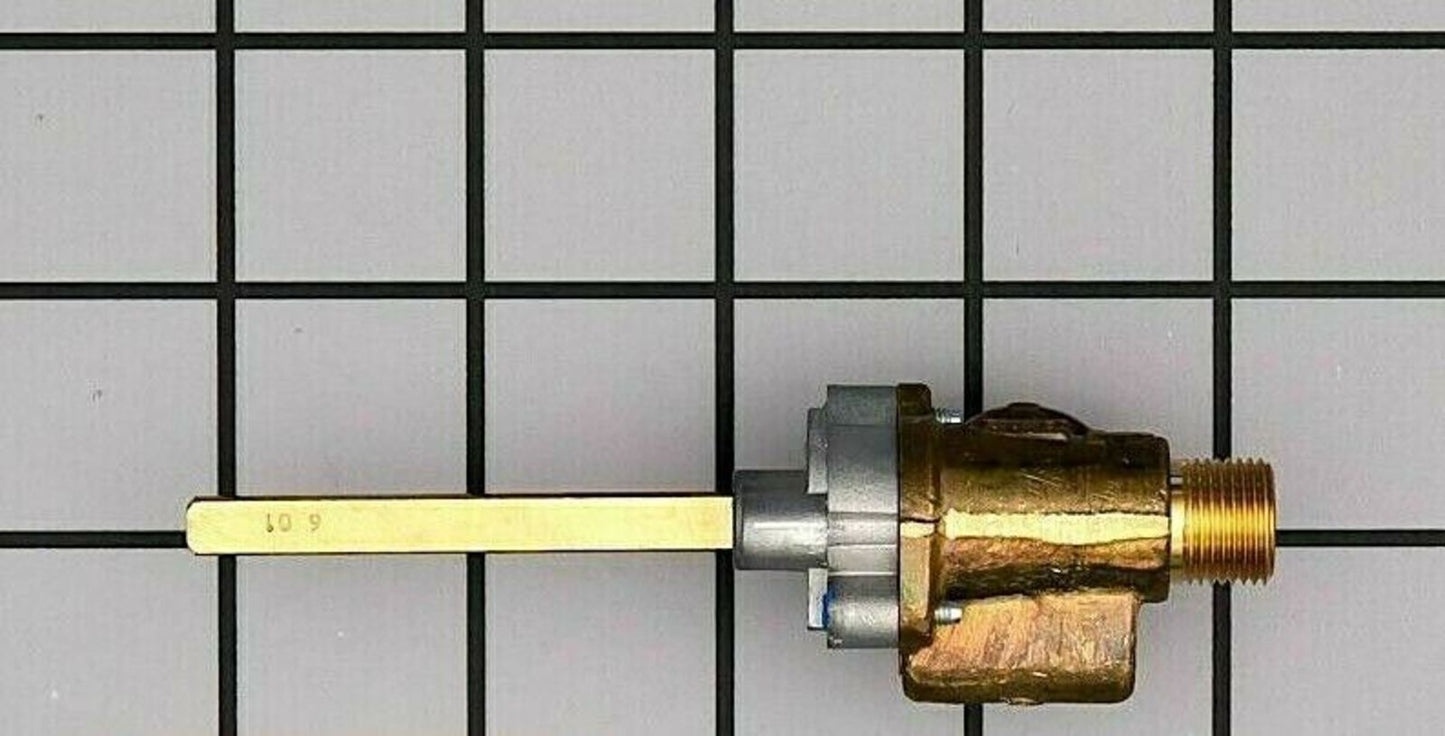 10003806 Bosch Gas Valve