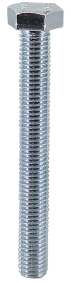12013593 Bosch Bolt