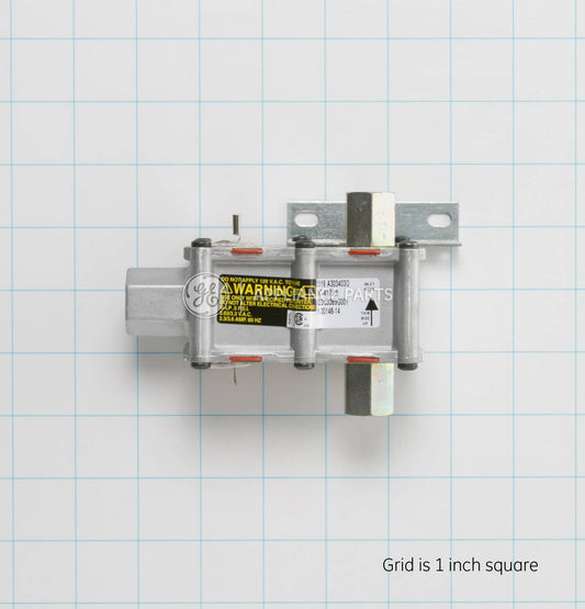 WB19K36 GE Saftey Gas Control Valve