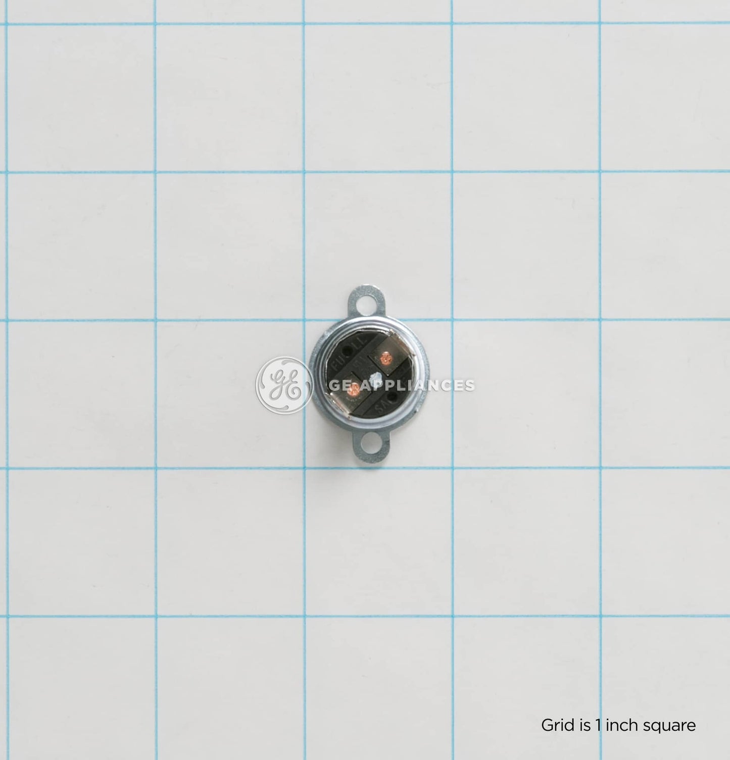 WB20X10048 GE Thermostat