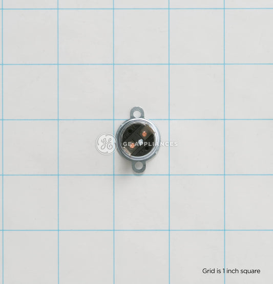 WB20X10048 GE Thermostat