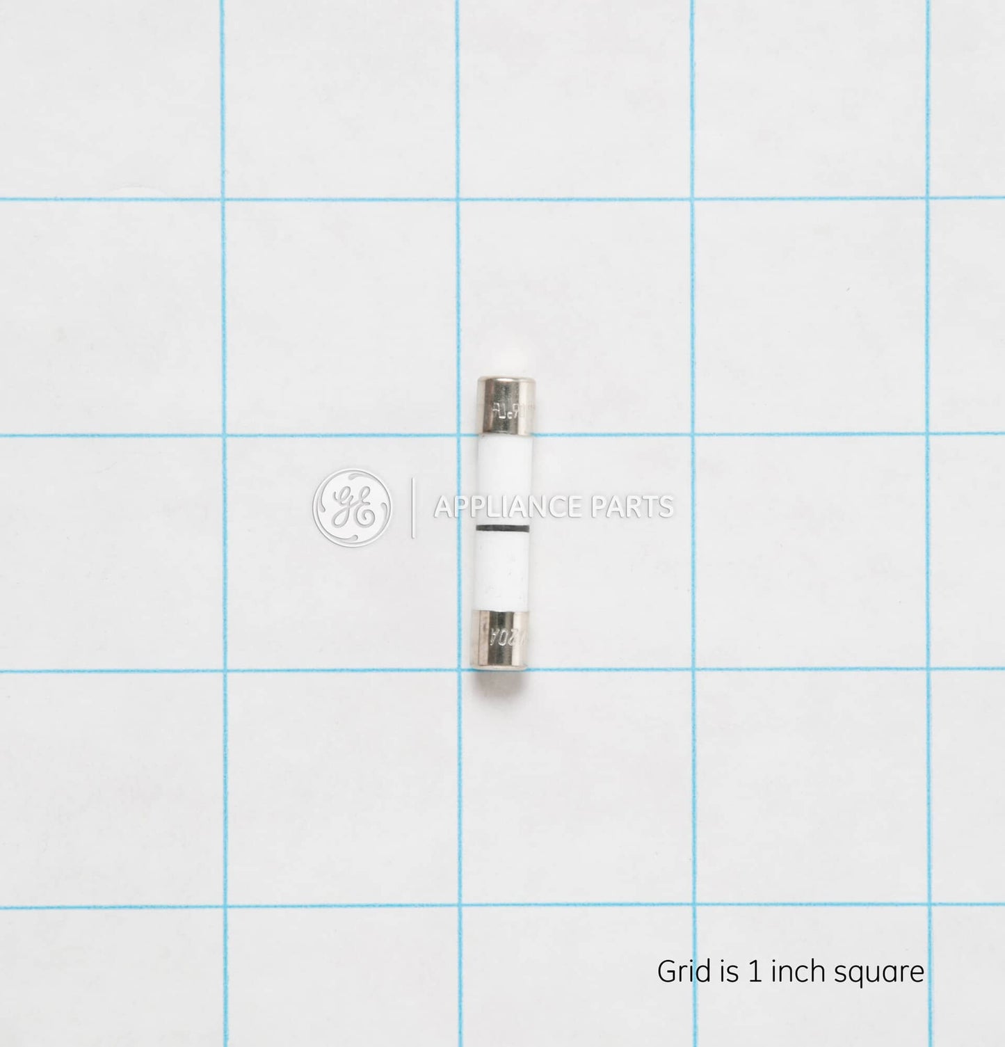 WB27X10928 GE Fuse