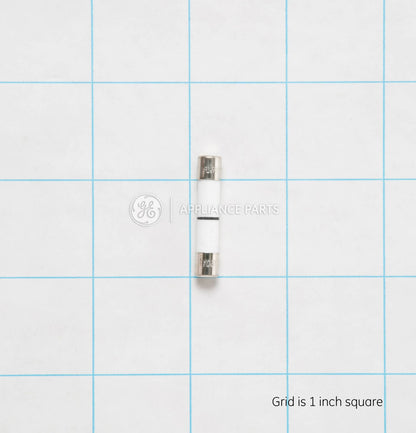 WB27X10928 GE Fuse