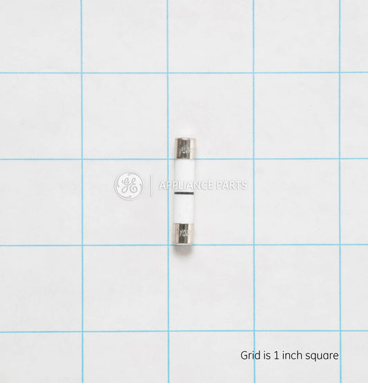 WB27X10928 GE Fuse