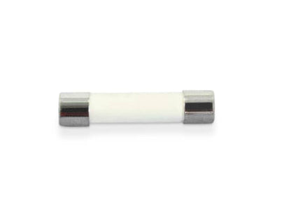 W10138793 Whirlpool Line Fuse