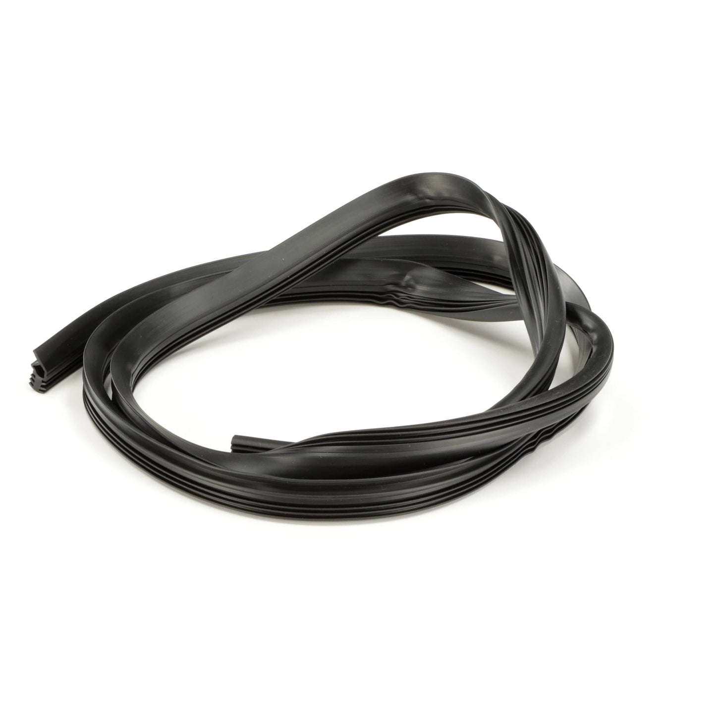DD81-02216A Samsung Door Gasket