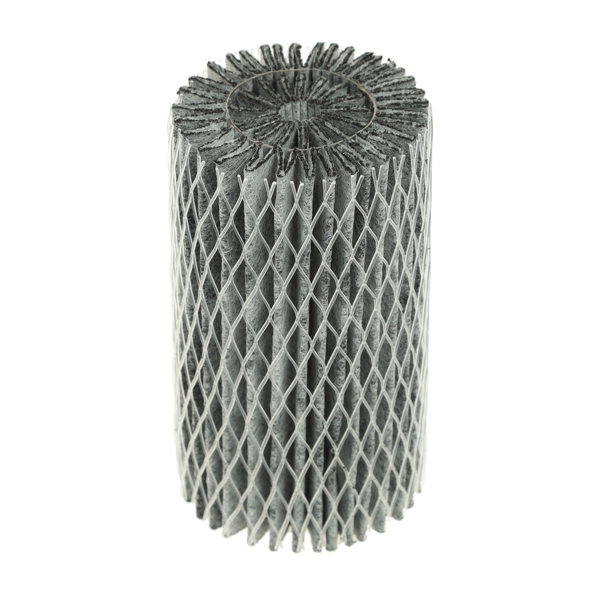 EAF1CB Electrolux Air Filter