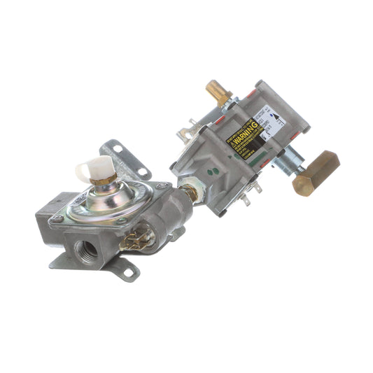 WB19K10041 GE Safety Valve and Regulator Assembly