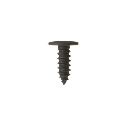 WB1K78 GE Screw