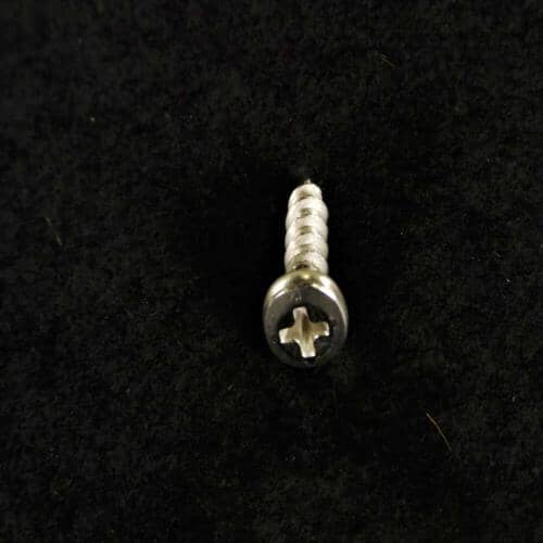 WB1X5904 GE Screw
