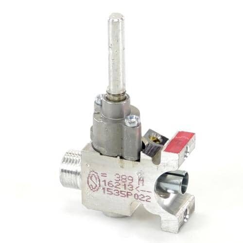 WB21X22080 GE Valve Kit