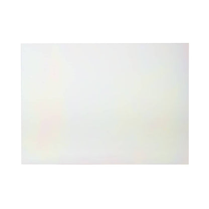 WB57T10350 GE Glass Outer Door Assembly (White)