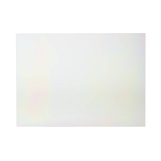 WB57T10350 GE Glass Outer Door Assembly (White)