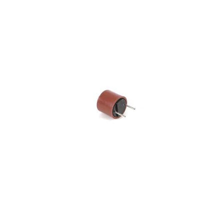 WD21X25696 GE Control Board Fuse