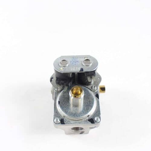 WE14X10109 GE Gas Valve