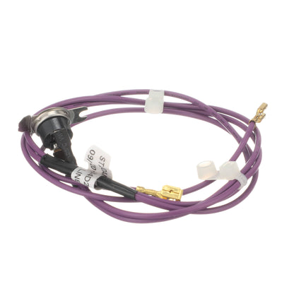 WE15X26140 GE High Limit Thermostat