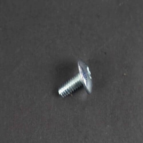 WE2M163 GE Screw