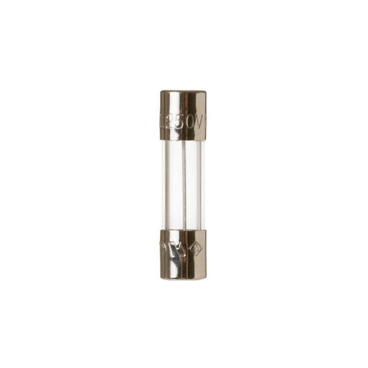 WP23X10028 GE Fuse