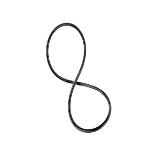 WS03X10039 GE O' Ring