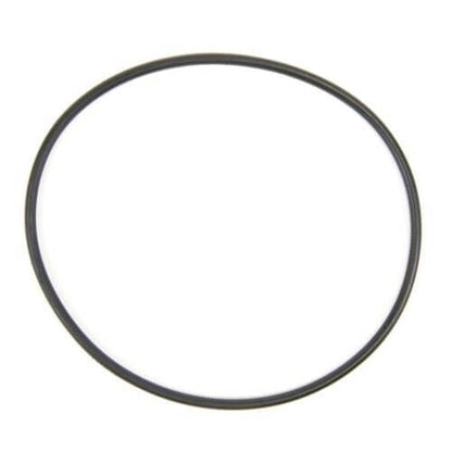 WS03X10054 GE O-Ring