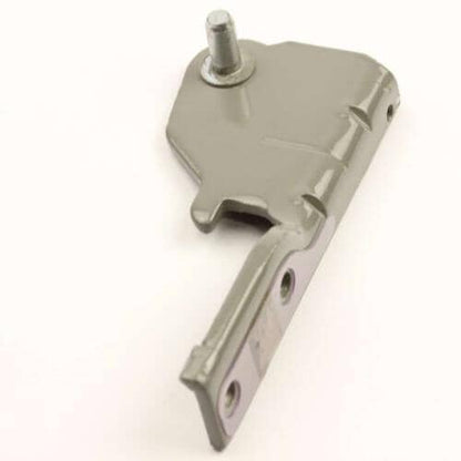 AEH73856208 LG Center Hinge Assembly