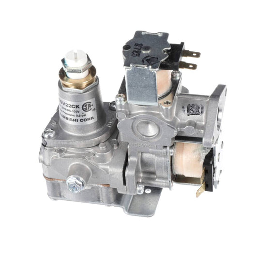 AGM30063309 LG Gas Valve Assembly