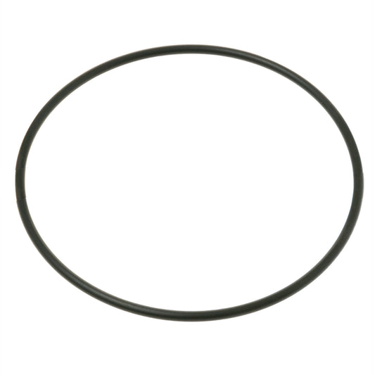 WS02X22081